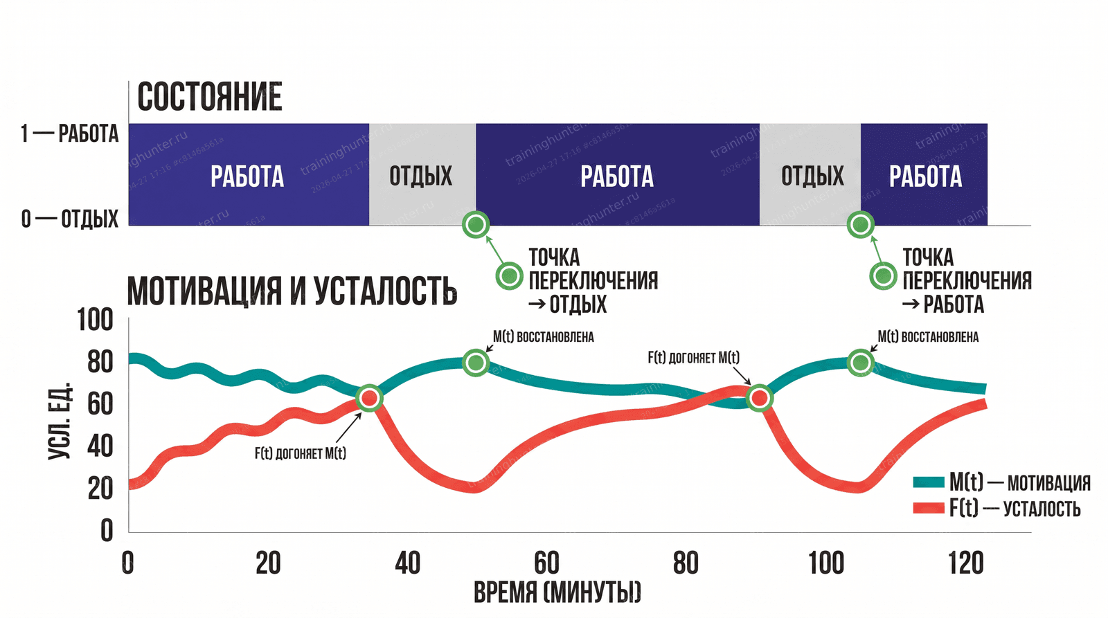 Микро-динамика одной рабочей сессии. Верхний график: бинарное состояние p(t) — блоки «Работа» и «Отдых». Нижний график: кривые M(t) и F(t). Когда F(t) догоняет M(t) — переключение на отдых. Когда F(t) пада