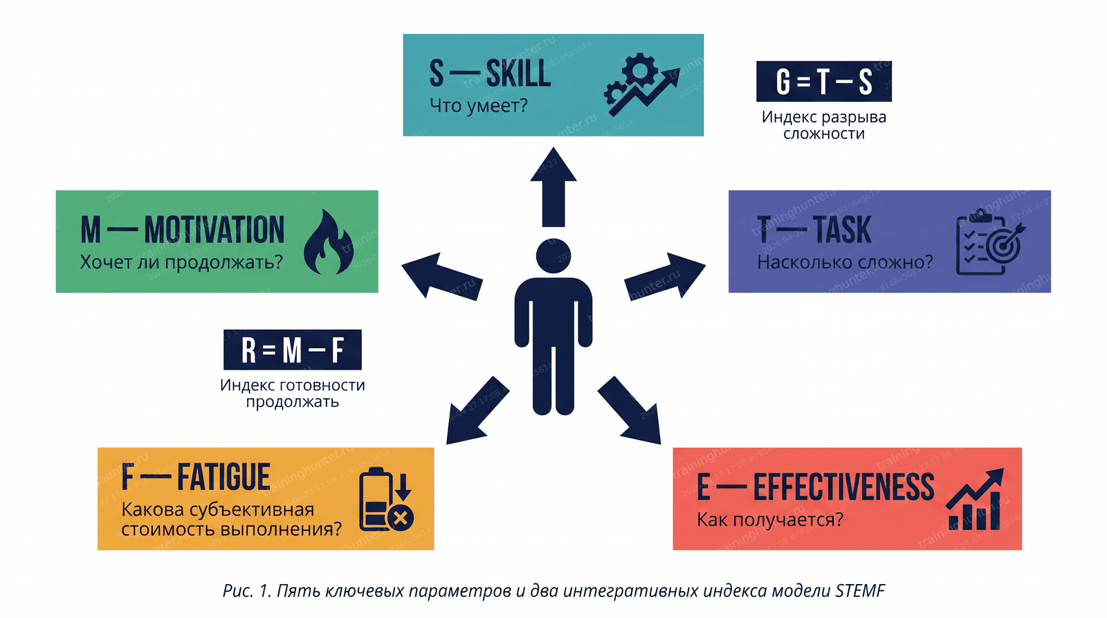 Схематическое изображение модели STEMF. В центре схематичный силуэт сотрудника. От него исходят пять стрелок к блокам с названиями параметров: S (Skill), T (Task), E (Effectiveness), M (Motivation) и F (Fatigue). В каждо