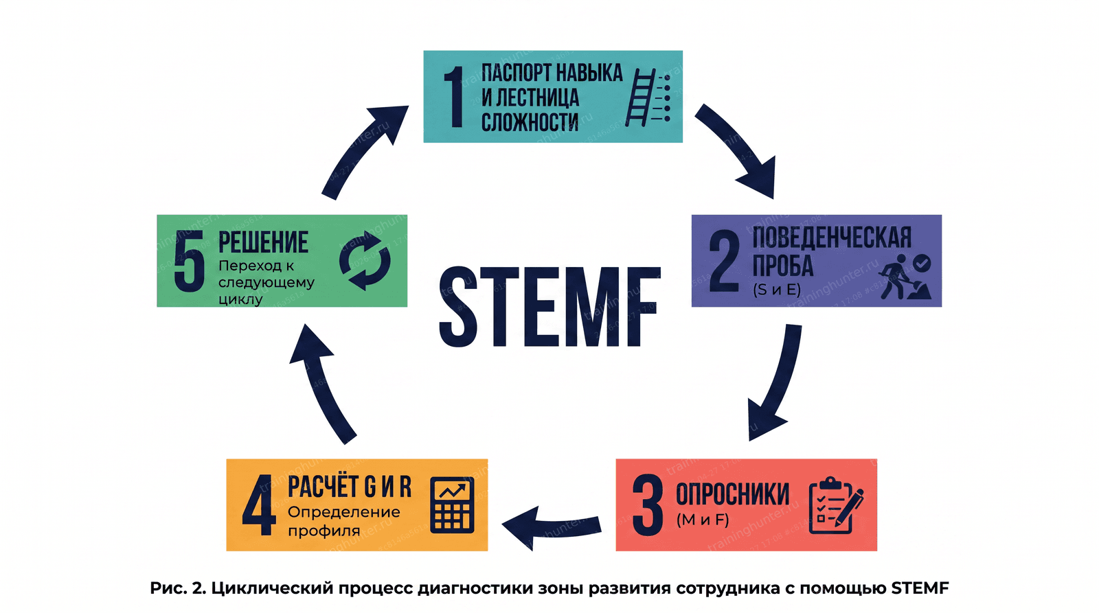 Визуализация цикла диагностики STEMF. Круговая диаграмма, показывающая пять этапов: 1) Паспорт навыка и Лестница сложности; 2) Поведенческая проба (S и E); 3) Опросники (M и F); 4) Р